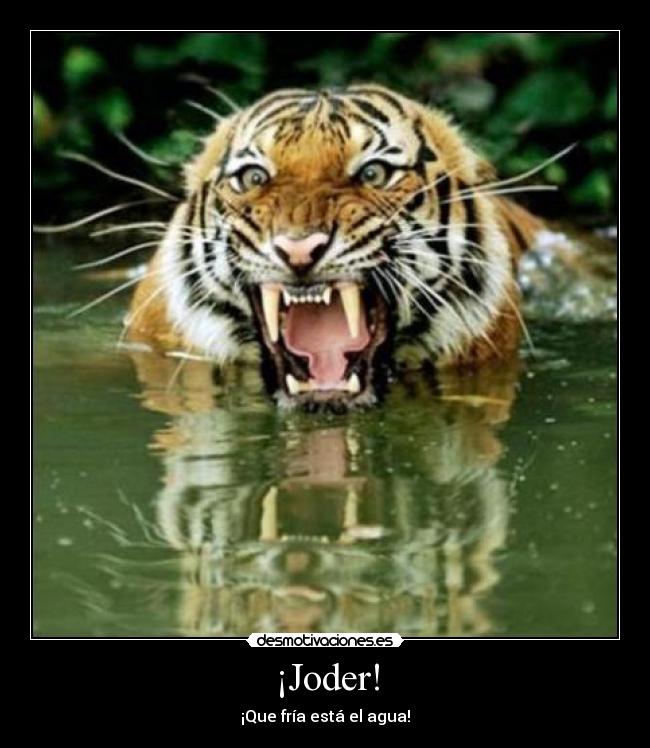 ¡Joder! - ¡Que fría está el agua!
