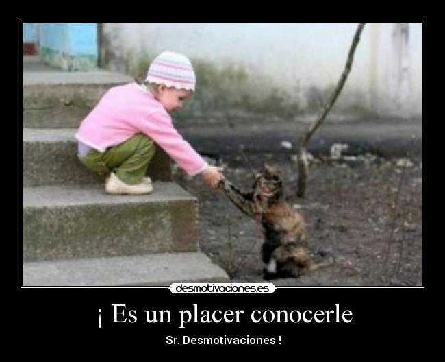 ¡ Es un placer conocerle -