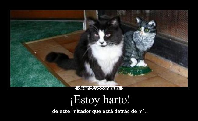 ¡Estoy harto! -