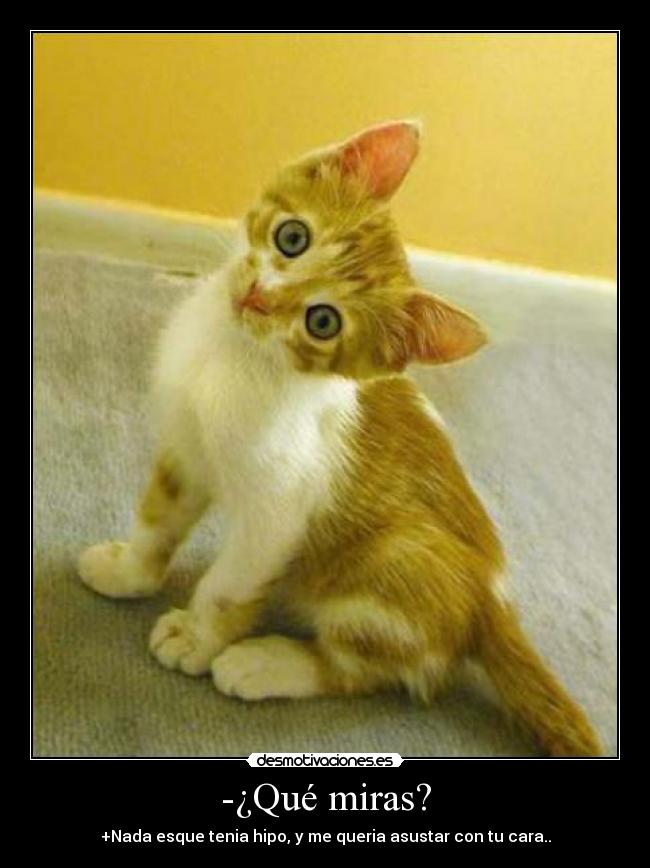 -¿Qué miras? - +Nada esque tenia hipo, y me queria asustar con tu cara..