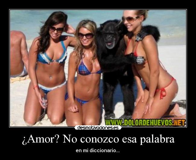 ¿Amor? No conozco esa palabra - en mi diccionario...