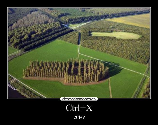 Ctrl+X - Ctrl+V