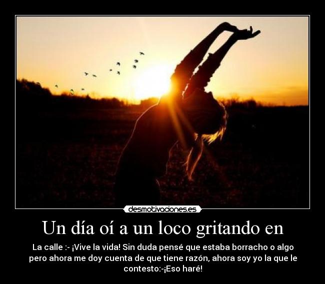 Un día oí a un loco gritando en - La calle :- ¡Vive la vida! Sin duda pensé que estaba borracho o algo
pero ahora me doy cuenta de que tiene razón, ahora soy yo la que le
contesto:-¡Eso haré!