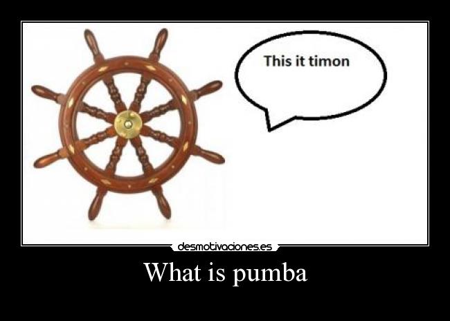 What is pumba - 