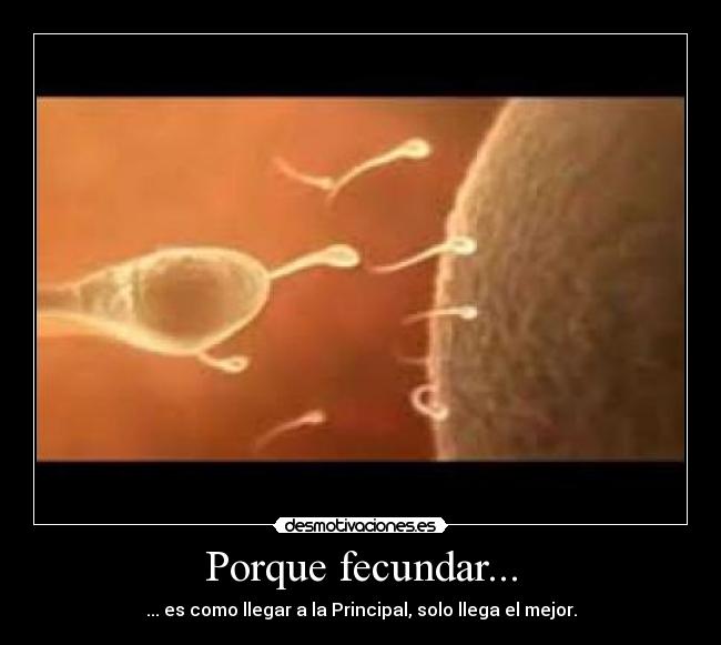 Porque fecundar... - ... es como llegar a la Principal, solo llega el mejor.