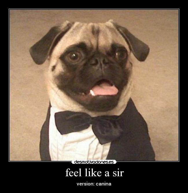 carteles wwwdemotivacioneses desmotivaciones