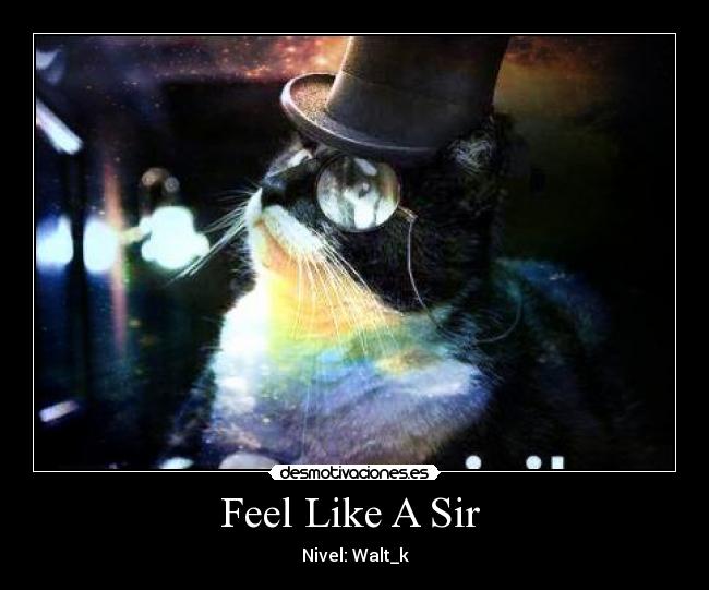 Feel Like A Sir  - 