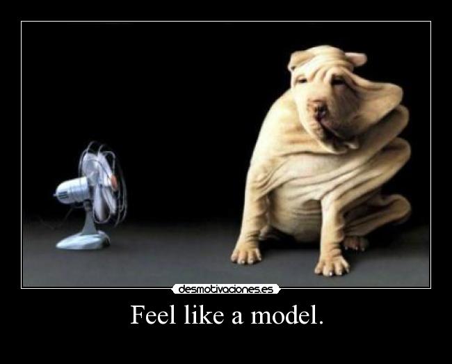Feel like a model. - 