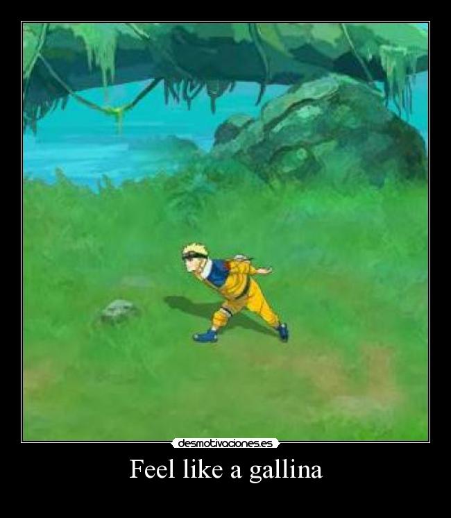 Feel like a gallina -
