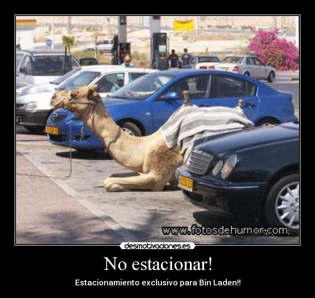 No estacionar! - Estacionamiento exclusivo para Bin Laden!!