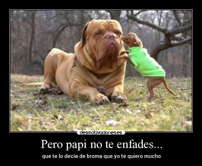 carteles pero papi desmotivaciones