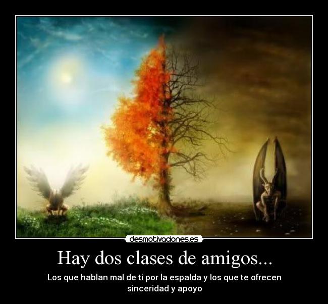 Hay dos clases de amigos... - 