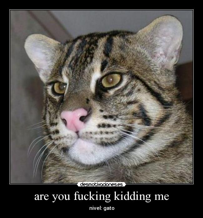 carteles kronizstuffitzzgabrylongox acexrumpelstiltskinkookooandradesyndrome20walt_kferminelfieropersallight desmotivaciones