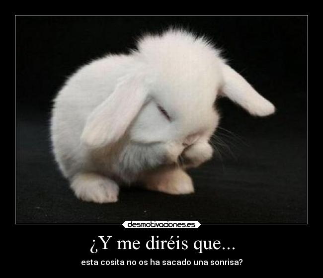 ¿Y me diréis que... - 