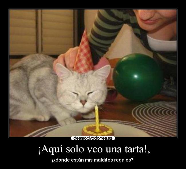 ¡Aquí solo veo una tarta!, - 
