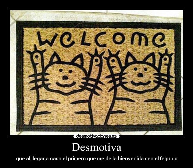 Desmotiva - que al llegar a casa el primero que me de la bienvenida sea el felpudo