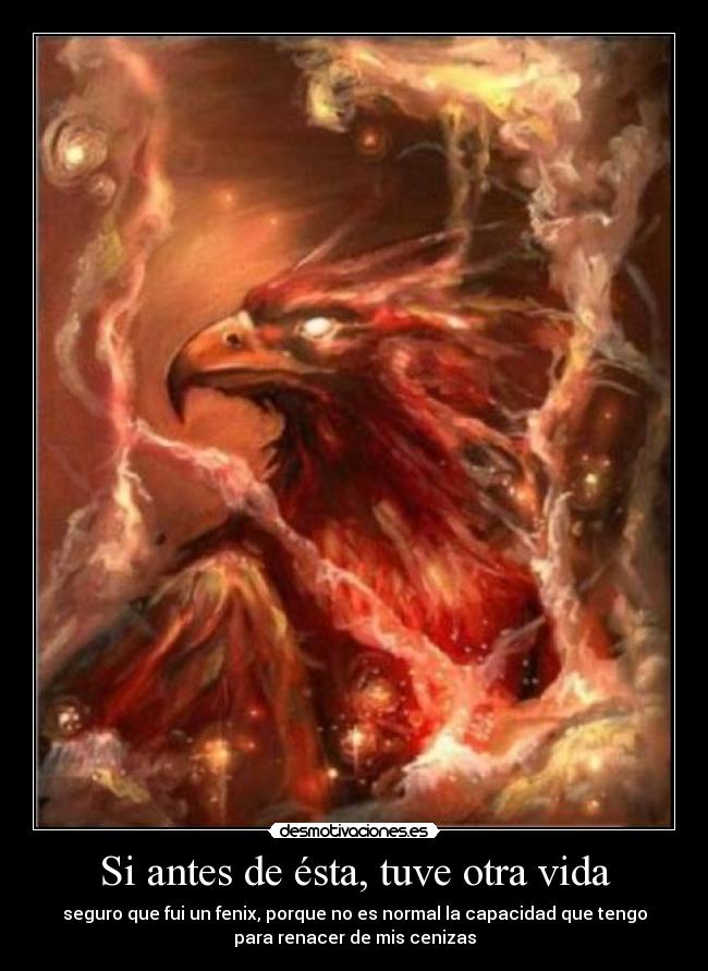Si antes de ésta, tuve otra vida - 