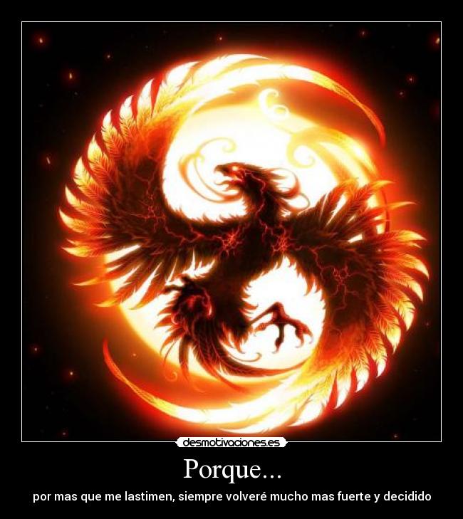 Porque... -
