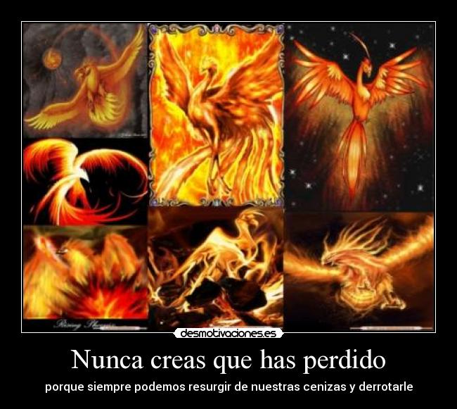 Nunca creas que has perdido - 