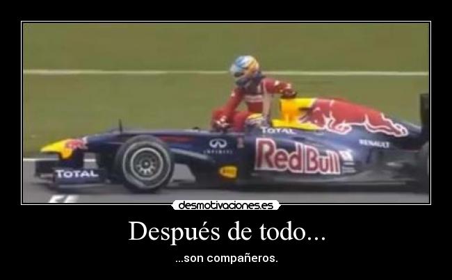 Después de todo... - ...son compañeros.