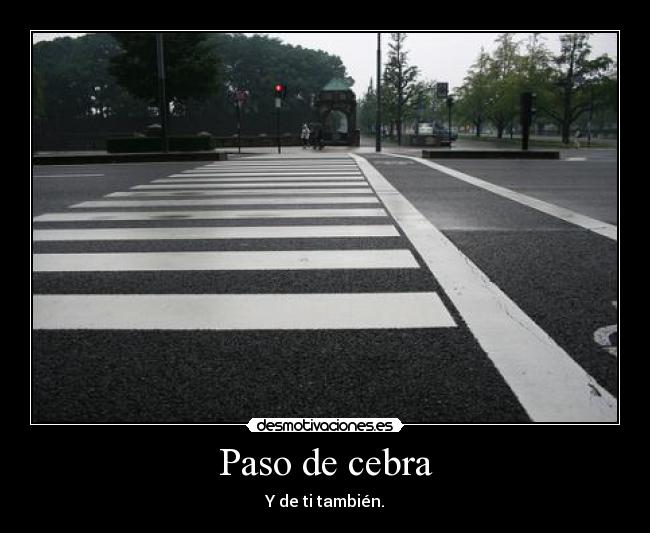 Paso de cebra - Y de ti también.