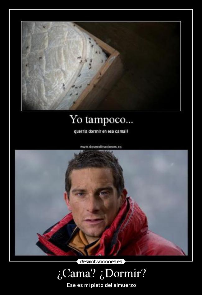 carteles dormir zdf desmotivaciones