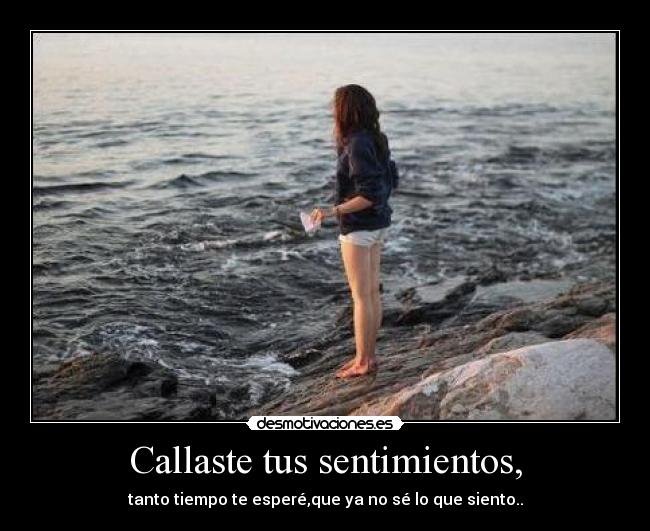 carteles sentimientos dhdgf desmotivaciones