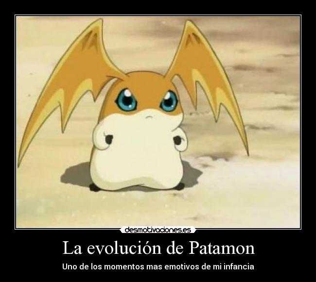 La evolución de Patamon - Uno de los momentos mas emotivos de mi infancia