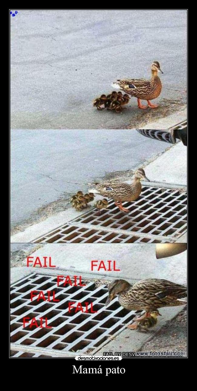 Mamá pato - 
