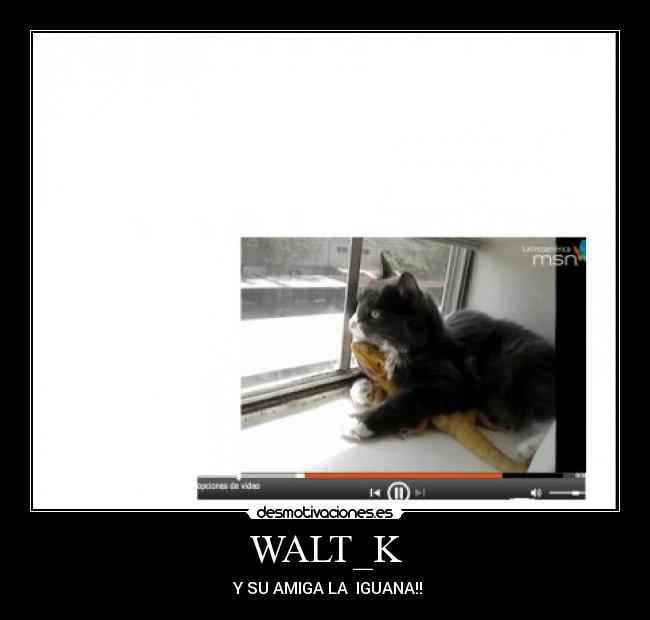 WALT_K - 