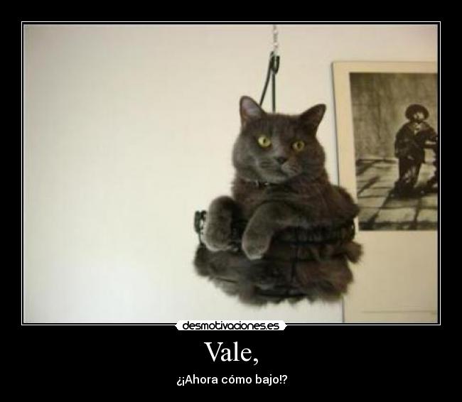 Vale, - ¿¡Ahora cómo bajo!?