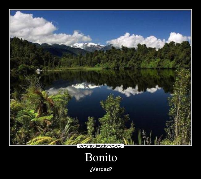 Bonito -