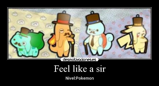 Feel like a sir - Nivel:Pokemon