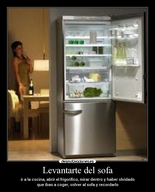 carteles sofa frigorifico desmotivaciones desmotivaciones