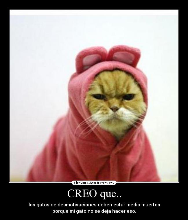 CREO que.. - 