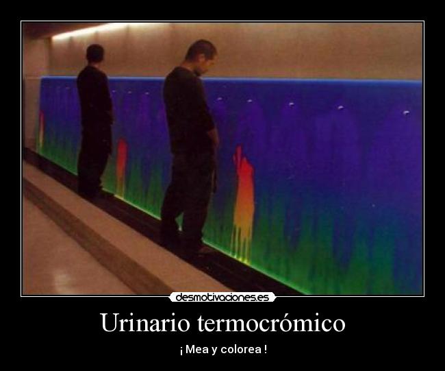 Urinario termocrómico - ¡ Mea y colorea !