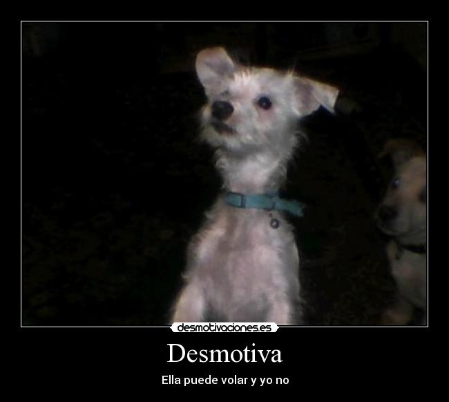 Desmotiva - Ella puede volar y yo no