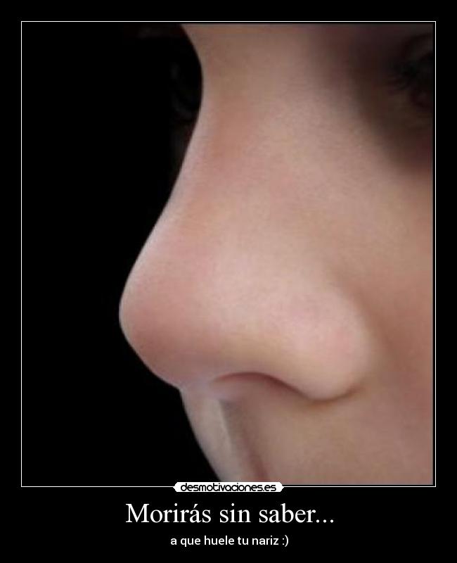 Morirás sin saber... -