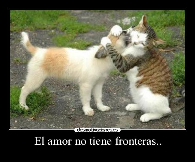 El amor no tiene fronteras.. -