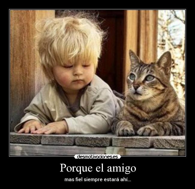 carteles dadad desmotivaciones