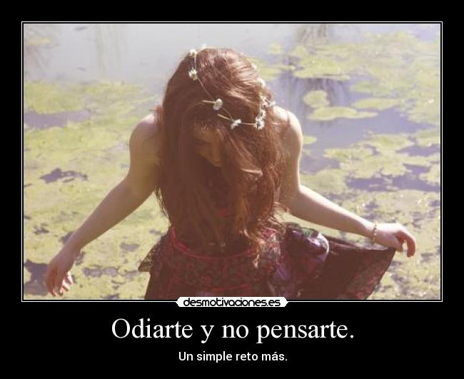 Odiarte y no pensarte. - Un simple reto más.