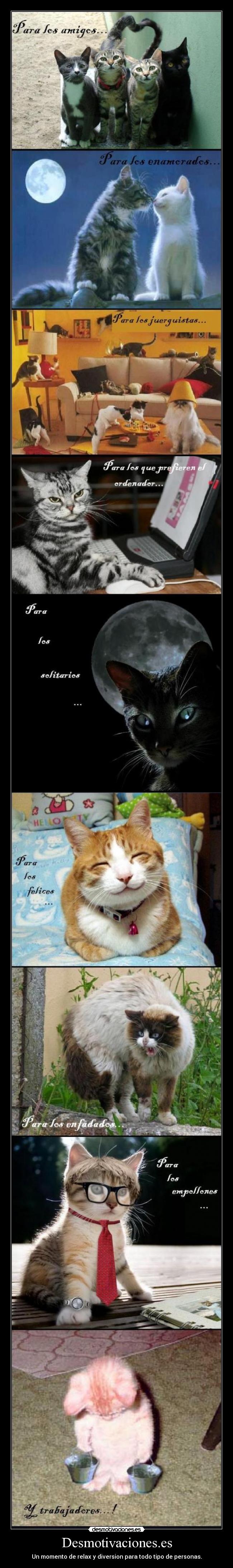 Desmotivaciones.es - 