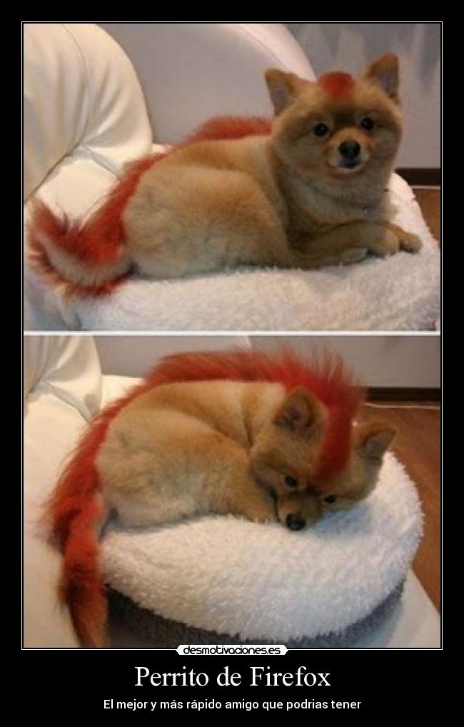 Perrito de Firefox - El mejor y más rápido amigo que podrias tener