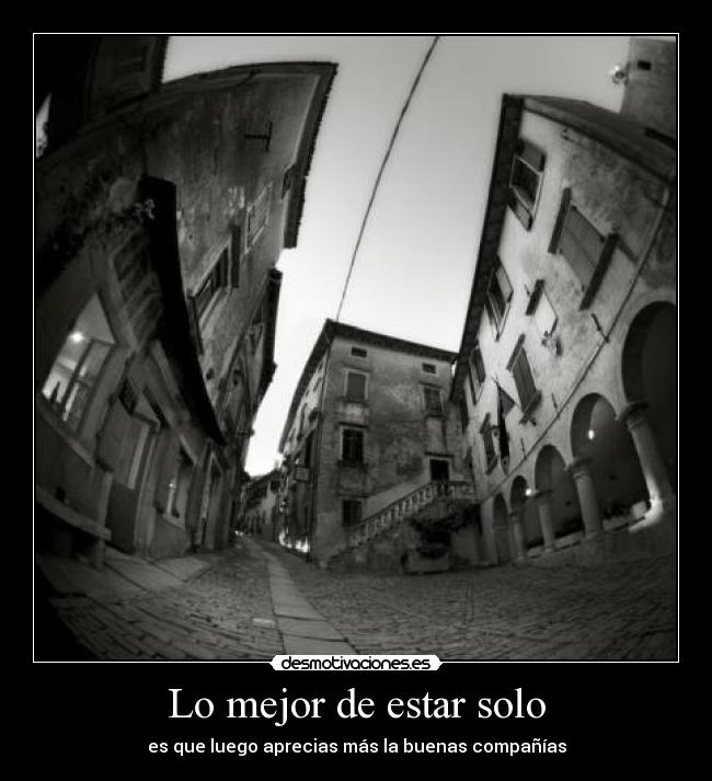 carteles solo amigo companero desmotivaciones