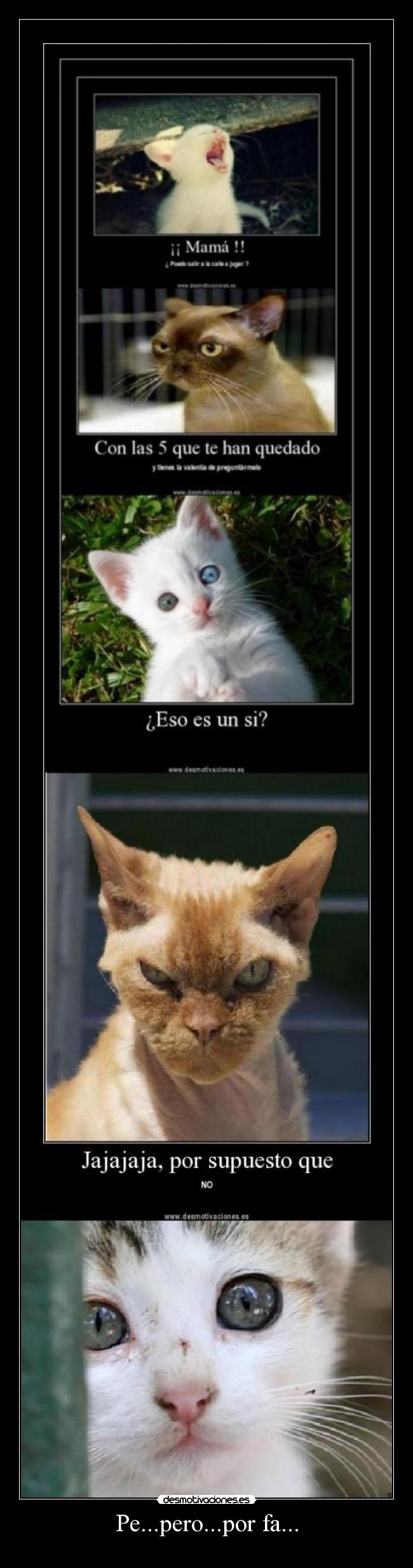 Pe...pero...por fa... - 