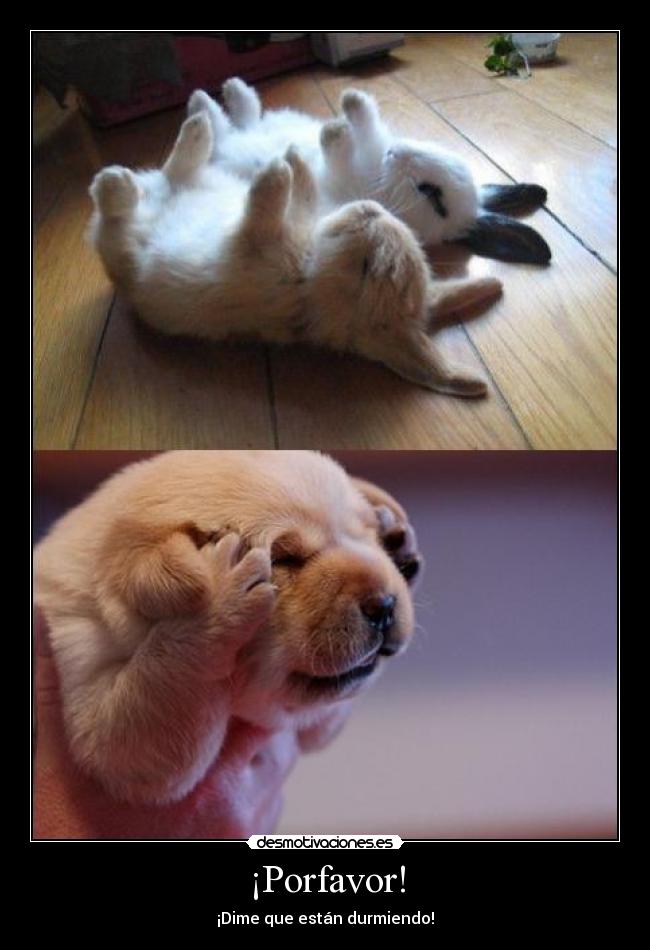 ¡Porfavor! - 