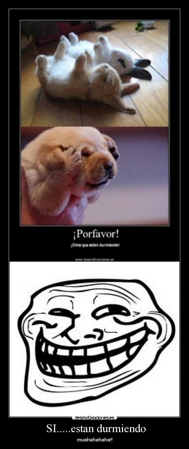 SI.....estan durmiendo -