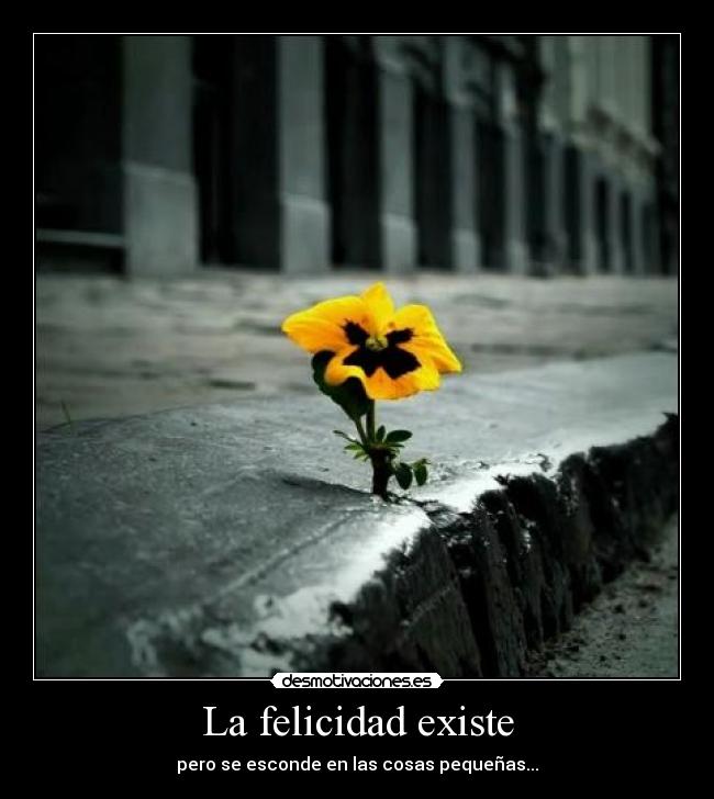 La felicidad existe - pero se esconde en las cosas pequeñas...