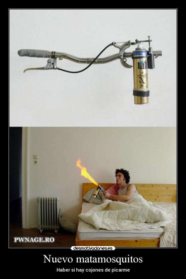 carteles mosquito desmotivaciones