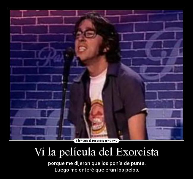 Vi la película del Exorcista - porque me dijeron que los ponía de punta.
Luego me enteré que eran los pelos.